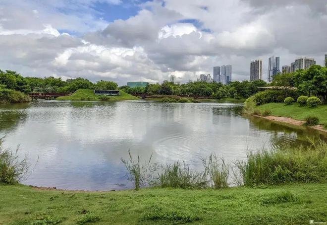 中心_房价户型学校位置价格优惠交房新葡京娱乐南山新房深圳湾一号营销(图4)
